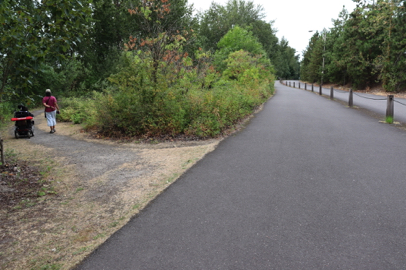 Natural surface side path from parking lot to trailhead – grade reaches 23.6%